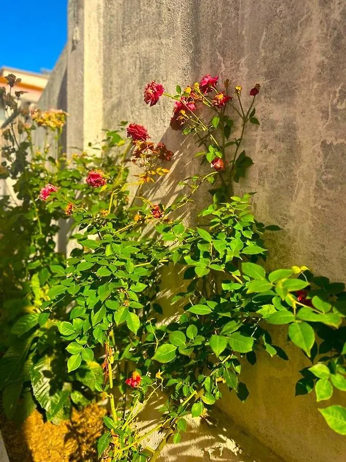Lisabonna Guest House Amadora